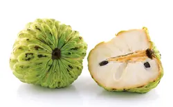 بذر شوگر اپل (سیب کاستارد) <br> تعداد 10 عدد بذر <br> Sugar Apple Seeds <br> <i><b>Annona squamosa</i> Seeds</b>