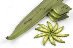 بذر شیپوری درختی هندی  بسته 5 عددی  Indian Trumpet flower Seeds <i><b> Oroxylum indicum </i> Seeds</b>