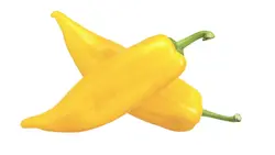 بذر فلفل قلمی موزی  بسته 10 عددی  Banana Pepper Seeds  Capsicum annuum 'Yellow Wax Pepper' Seeds