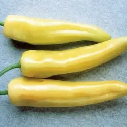 بذر فلفل قلمی موزی  بسته 10 عددی  Banana Pepper Seeds  Capsicum annuum 'Yellow Wax Pepper' Seeds