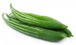 بذر کدو ماری <br> بسته 5 عددی بذر <br> Snake Gourd Seeds <br><i><b> Trichosanthes cucumerina  </i> Seeds</b>
