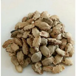 بذر کدو ماری <br> بسته 5 عددی بذر <br> Snake Gourd Seeds <br><i><b> Trichosanthes cucumerina  </i> Seeds</b>