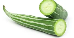 بذر کدو ماری <br> بسته 5 عددی بذر <br> Snake Gourd Seeds <br><i><b> Trichosanthes cucumerina  </i> Seeds</b>
