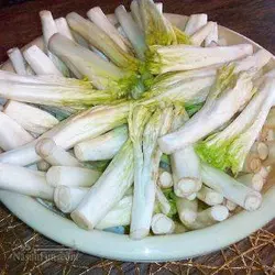 بذر کنگر شیرازی <br> بذور العكوب <br> بسته 10 عددی <br>  Tumble Thistle Seeds <br> Gundelia tournefortii Seeds
