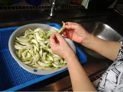 بذر گل خوراکی آگاتی (سسبان سفید) <br> بسته 5 عددی بذر <br> Agati Flower <br><i><b> Sesbania grandiflora </i> Seeds</b>