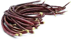بذر لوبیا بلند بنفش <br> بسته 5 عددی بذر <br> Purple Yard Long Bean Seeds <br><i><b> Vigna unguiculata subsp. sesquipedalis Purple </i> Seeds</b>
