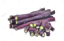بذر لوبیا بلند بنفش <br> بسته 5 عددی بذر <br> Purple Yard Long Bean Seeds <br><i><b> Vigna unguiculata subsp. sesquipedalis Purple </i> Seeds</b>