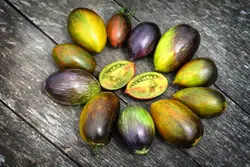بذر گوجه اتمی برد <br> بسته 5 عددی بذر <br> Brad's Atomic Grape Tomato Seeds <br><i><b> Solanum lycopersicum 'Brad's Atomic Grape' </i> Seeds</b>
