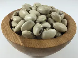 بذر لوبیا مخملی سفید <br> بسته 5 عددی بذر <br> White Velvet Bean Seeds <br><i><b> Mucuna pruriens </i> White  Seeds</b>