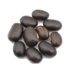 بذر لوبیا مخملی مشکی <br> بسته 5 عددی بذر <br> Black Velvet Bean Seeds <br><i><b> Mucuna pruriens </i> Black  Seeds</b>