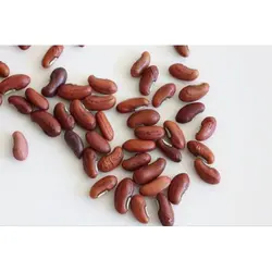 بذر لوبیا بلند دانه قهوه ای <br> بسته 5 عددی بذر <br> Yard Long Bean Brown Seeds <br><i><b> Vigna unguiculata subsp. sesquipedalis </i>Brown Seeds</b>