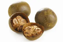 بذر میوه مانک &lt;br&gt; بسته یک عددی &lt;br&gt; Monkfruit &lt;br&gt;&lt;i&gt;&lt;b&gt; Siraitia grosvenorii &lt;/i&gt; Seeds &lt;/b&gt;