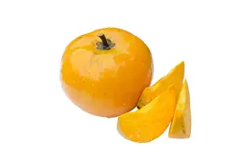 بذر میوه تخم مرغی <br> بسته یک عددی <br> Egg Fruit <br><i><b> Pouteria campechiana </i> Seeds </b>