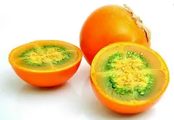 بذر نارنجیلا <br> بسته 5 عددی <br> Naranjilla Seeds <br><i><b> Solanum quitoense </i>Seeds</b>