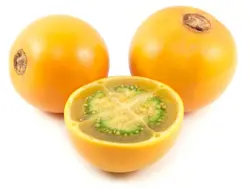 بذر نارنجیلا <br> بسته 5 عددی <br> Naranjilla Seeds <br><i><b> Solanum quitoense </i>Seeds</b>