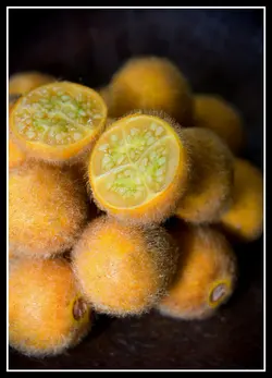 بذر میوه تارامبلو بادمجان ترش پرزدار <br> بسته 10 عددی <br> Tarambulo Seeds <br><i><b> Solanum ferox - Solanum lasiocarpum </i> Seeds </b>