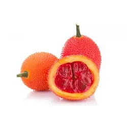 بذر میوه گاک <br> تعداد 5 عدد بذر <br> Gac Fruit <br><i><b> Momordica cochinchinensis </i> Seeds </b>