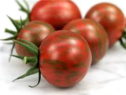 بذر گوجه زنبور بنفش <br> بسته 5 عددی <br> Purple Bumble Bee Tomato Seeds <br> <i><b>Solanum lycopersicum </i>Purple Bumble Bee Seeds</b>