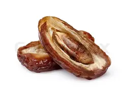 بذر نخل خرما <br> بسته 10 عددی <br> Date Palm Seeds <br><i><b> Phoenix dactylifera </i> Seeds</b>