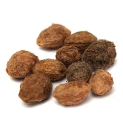 بذر یانگمی توت فرنگی درختی  بسته یک عددی  Yangmei Seeds <i><b> Myrica rubra</i> Seeds</b>