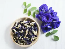 دمنوش لوبیا پروانه ای <br> بسته کوچک <br> Butterfly Pea Tea <br><i><b> Clitoria ternatea </i> Tea </b>