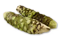 بذر واسابی (ترب سبز ژاپنی) <br> تعداد 10 عدد بذر <br> Wasabi Seeds <br><i><b> Eutrema japonicum </i> Seeds </b>
