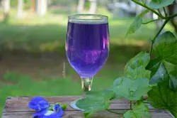 بذر لوبیا پروانه ای آبی ساده <br> بسته 5 عددی بذر <br> Blue Butterfly Pea Seeds <br><i><b> Clitoria ternatea </i> Seeds</b>