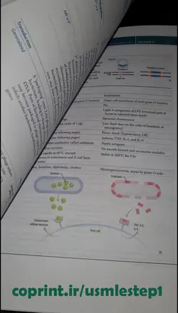 کتاب First Aid for the USMLE Step 1 2022 (آمادگی آزمون USMLE) - کوپرینت - مرکز تخصصی پرینت آنلاین
