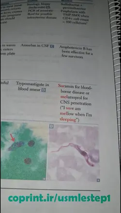 کتاب First Aid for the USMLE Step 1 2022 (آمادگی آزمون USMLE) - کوپرینت - مرکز تخصصی پرینت آنلاین