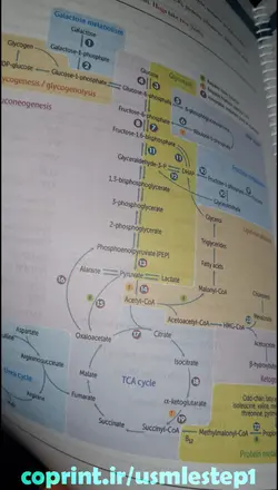 کتاب First Aid for the USMLE Step 1 2022 (آمادگی آزمون USMLE) - کوپرینت - مرکز تخصصی پرینت آنلاین