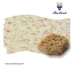 اسفنج پتینه دریایی طبیعی GSB کد TM-HM | استاد رنگ فروشگاه تخصصی ابزارآلات رنگ آمیزی