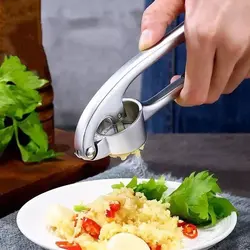 سیر له کن شنگیا