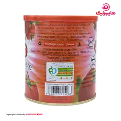 اصالت رب گوجه فرنگی قوطی 800گرم