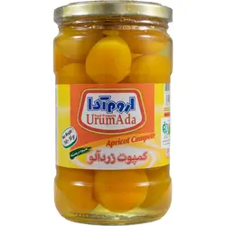 اروم آدا کمپوت زردآلو 700 گرم