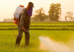 فرمولاسیون سم قارچ کش بر مبنای TRIADIMENOL