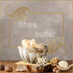 خرید شی باتر اصل با بهترین قیمت و ضمانت کیفیت | بکرینا