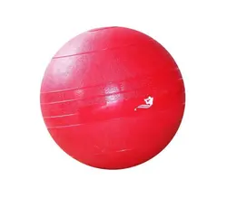 توپ اسلم بال پاورجیم وزن 6 کیلوگرم