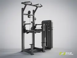 دستگاه بارفیکس کمک دار DHZ مدل E3009A