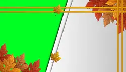 دانلود فوتیج پرده سبز کروماکی اسلایدشو برگ های پاییزی