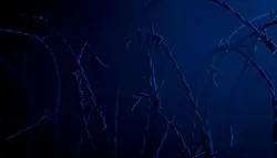 فوتیج سیم خاردار و دود در نزدیکی دیوار در شب