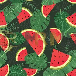 عکس استوک پس زمینه هندوانه برگ های استوایی