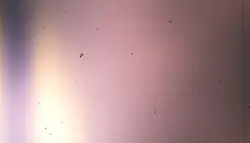 فوتیج Light Leaks روی پس‌زمینه با ظاهر فیلم قدیمی به سبک قدیمی