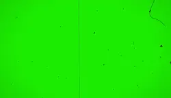 فوتیج پرده سبز افکت فیلم قدیمی به سبک وینتیج نویز فیلم