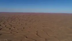 کلیپ هوایی از منطقه کشت گز در کویر دشت لوت