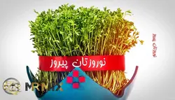 دانلود پروژه آماده افترافکت وله عید نوروز (ویژ نوروز 1401)