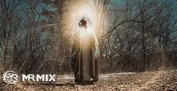 دانلود فوتیج آماده دعا کردن امام زمان (عج)