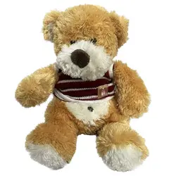 عروسک پولیشی خرس کپل لباس دار 23سانتی  خارجی