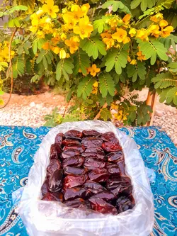 خرما کبکاب ظرف کریستال 1200 گرمی