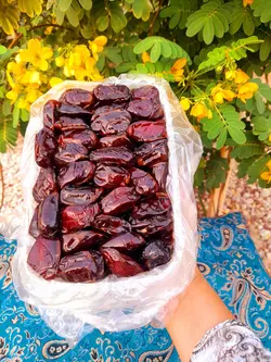 خرما کبکاب ظرف کریستال 1200 گرمی
