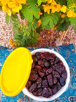 خرما کبکاب سطل 2کیلویی